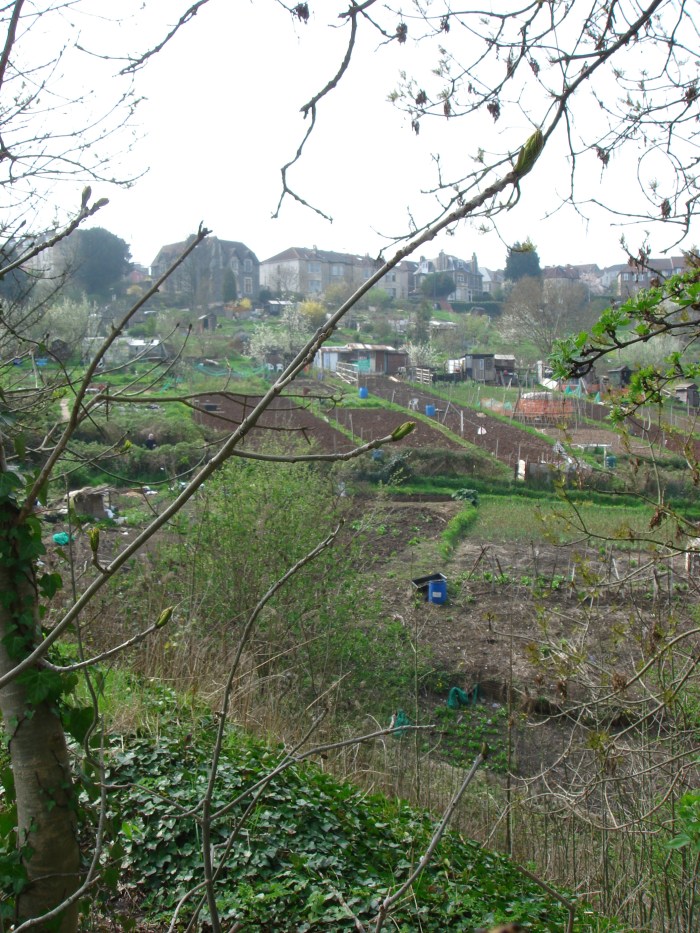 Narroways Allotments