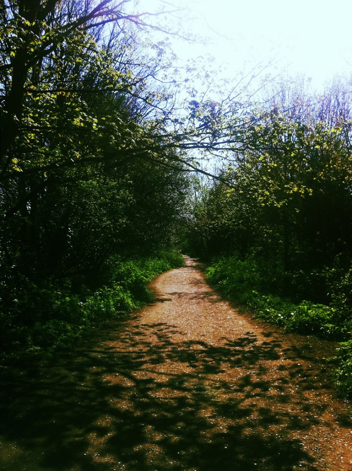 8689258737_4415438164_b