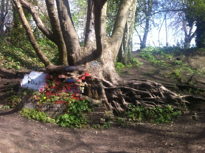 8690385422_296b1179c9_b