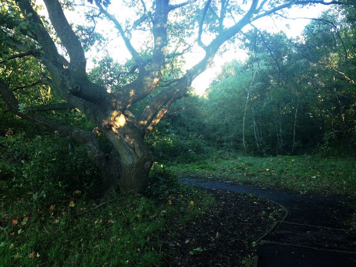 10540683975_4c89dfd6fc_c