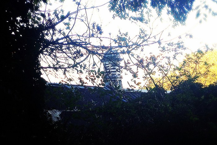 10540690495_b14771c7e9_c