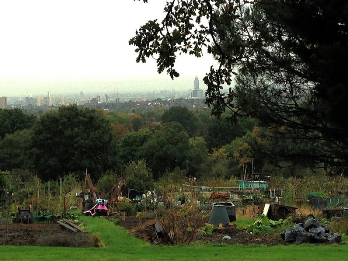 Grange Lane Allotments OTH Allotments