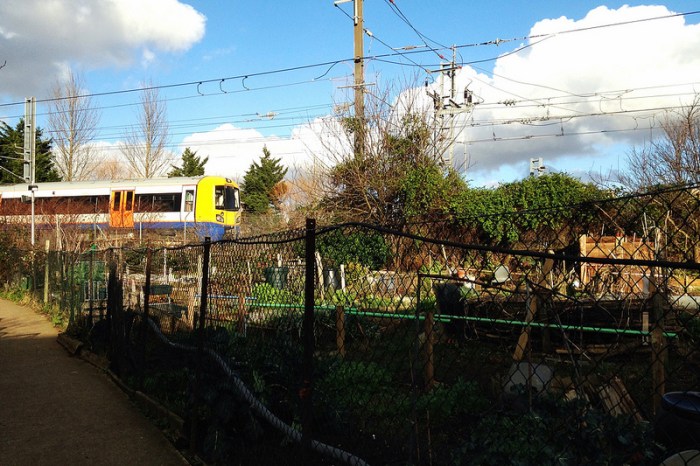 12306708893_b191aa349c_c