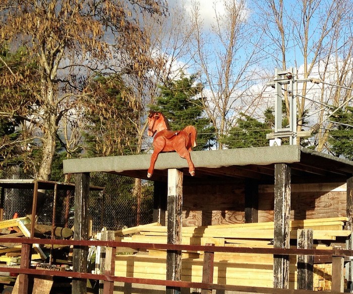 12306720553_b4461a5b56_c