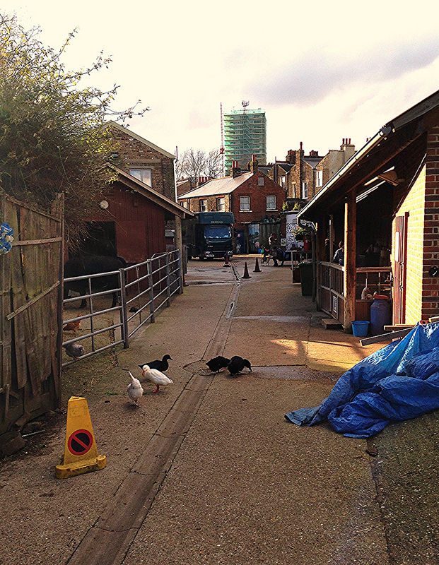 12307122096_a1fae777c5_c