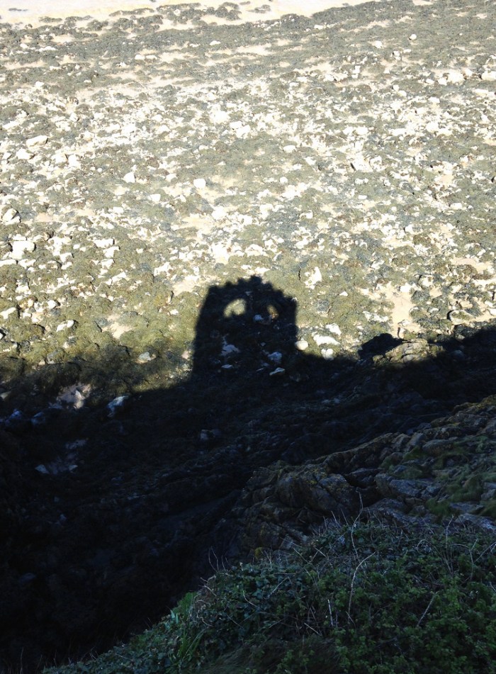 13831868505_a0b4197549_b