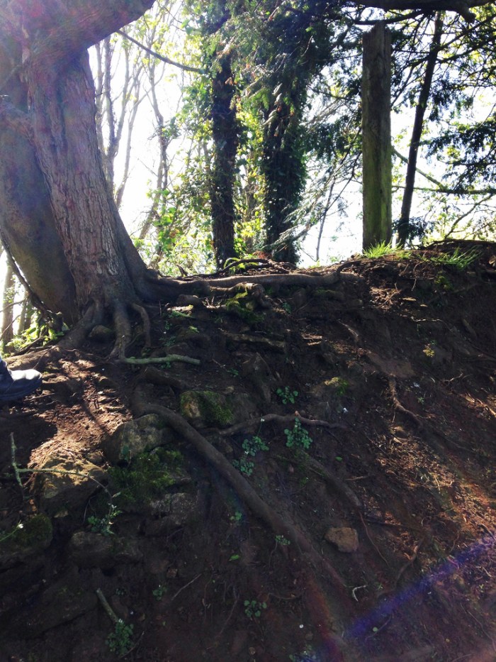 13832243363_8b31058965_b