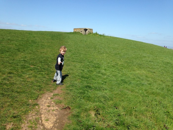 13832283195_cf8974bd20_b