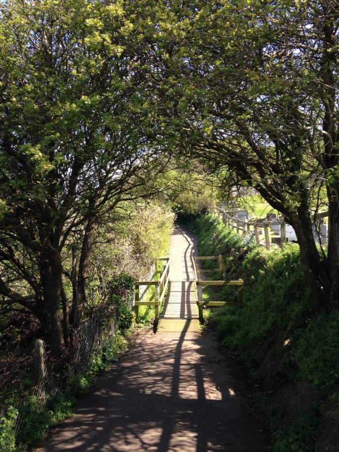 13832534054_b63cf30b35_b