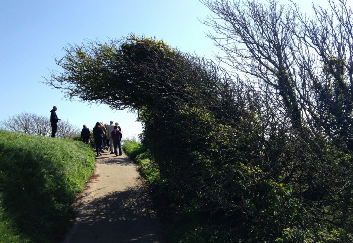 13832612464_9c73e10e70_b