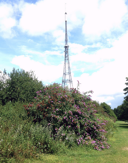 14673103483_ef41f2bb2c_z