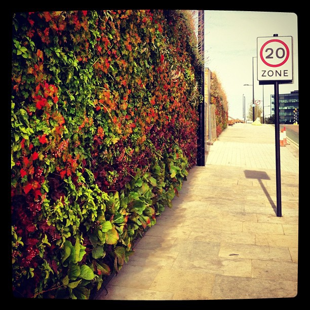 8287472360_b9947b31a7_z