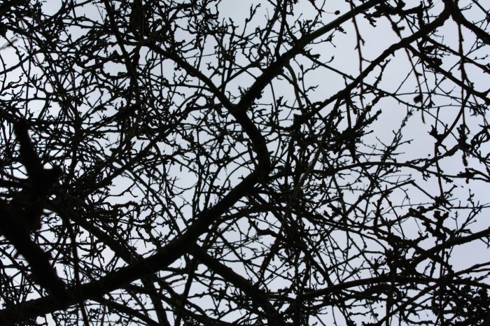 16310511032_601e28842a_k