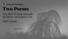An excerpt from the poem, Salix magic by Matt Gilbert published on crowcrosskeys.com, presented on a muted greyscale banner featuring the silhouette of a willow tree against a near-dark sunset, the crescent moon in view. The excerpt reads: Spread across a quiet patch of weeping green, which you said was a portal. I played along, re-learnt the facts of trees. Saw them afresh, through your raw eyes, as creatures of imagination. Four fissured bodies, crackling as they twisted time and space.